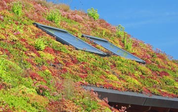 Finningley living roof systems